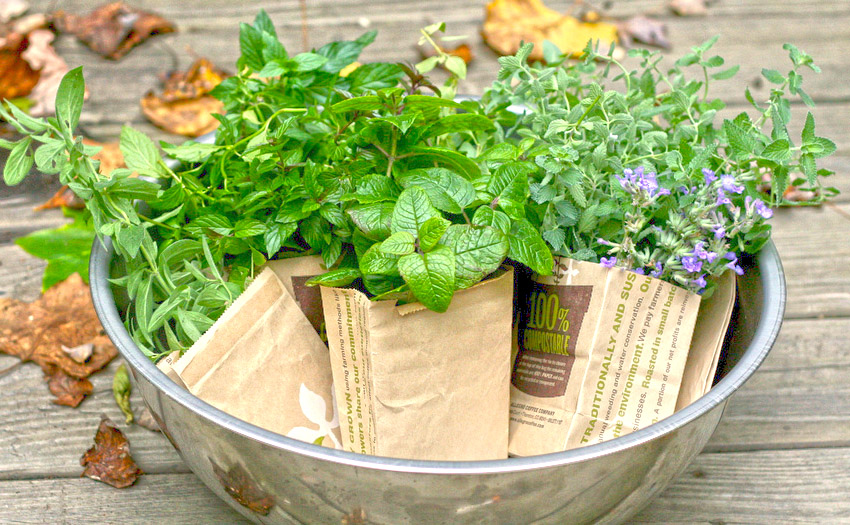 Herb Gardening