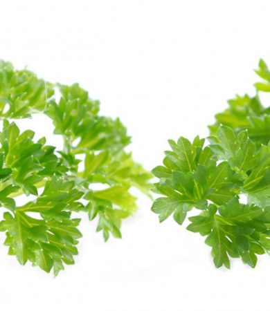 Parsley