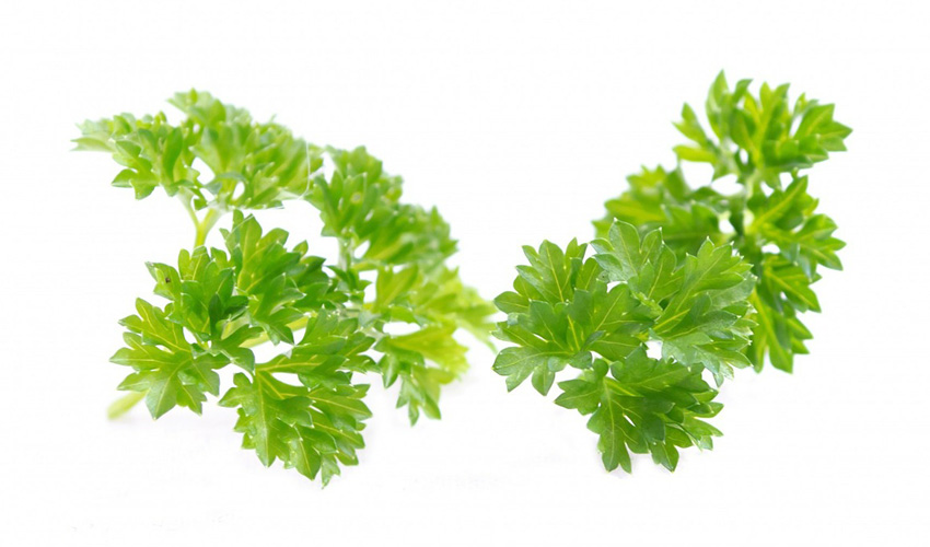 Parsley